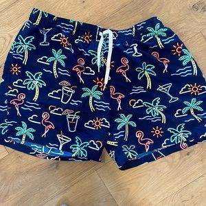 Chubbies neon lights swim trunks